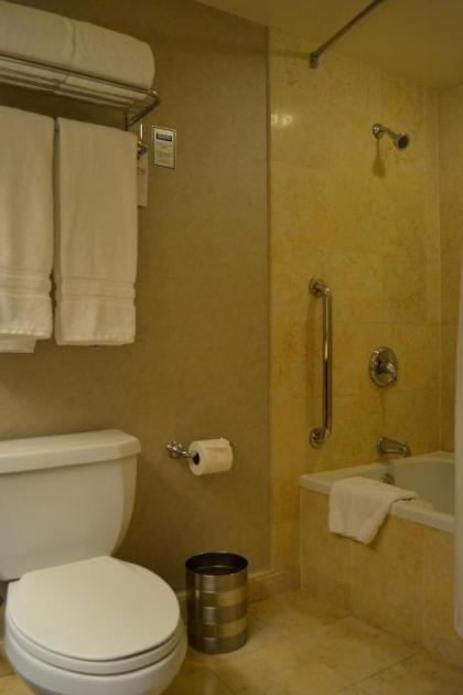 TI - Treasure Island Hotel & Casino - image 4