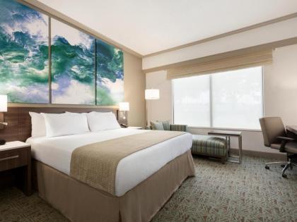 Buena Vista Suites - image 17