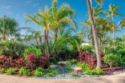 Islander Resort - image 18