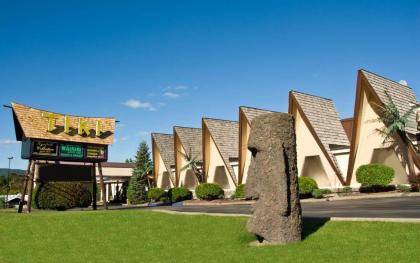 Tiki Resort - Lake George - image 1