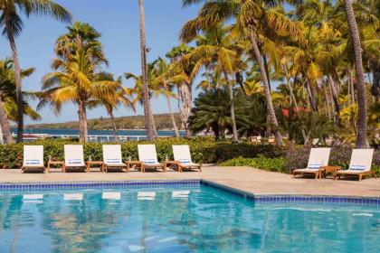 Copamarina Beach Resort & Spa - image 15