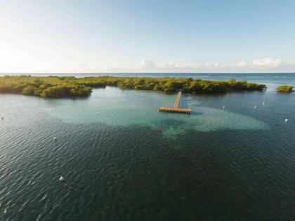 Copamarina Beach Resort & Spa - image 9