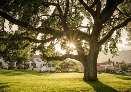 Ojai Valley Inn - image 17