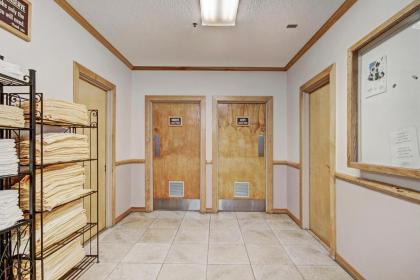 Village at Breckenridge Resort - image 2