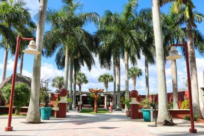 Miccosukee Resort & Gaming - image 17