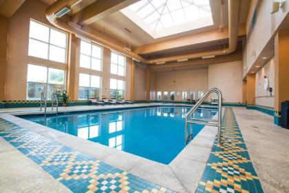 Miccosukee Resort & Gaming - image 2
