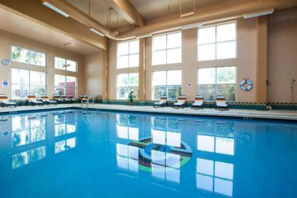 Miccosukee Resort & Gaming - image 9