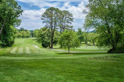 Etowah Valley Golf & Resort - image 7