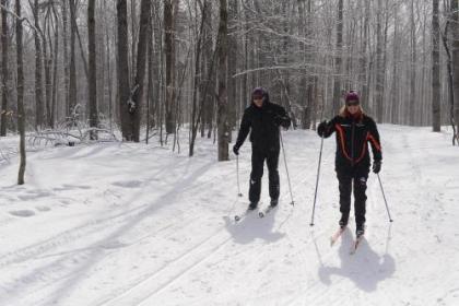 Long Trail House Condominiums at Stratton Mountain Resort - image 5