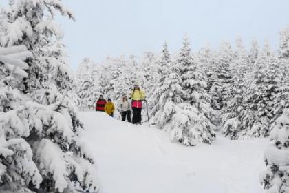 Long Trail House Condominiums at Stratton Mountain Resort - image 6