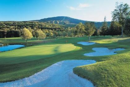 Long Trail House Condominiums at Stratton Mountain Resort - image 3