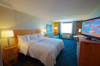 Beach Resort at S Padre Island - image 3