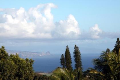 Lumeria Maui Educational Retreat Center - image 18