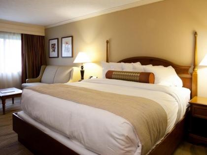 Grand Traverse Resort and Spa - image 11