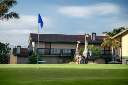 Sea Pines Golf Resort - image 7