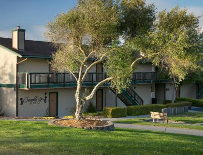 Sea Pines Golf Resort - image 8