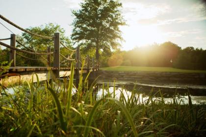 Cedar Creek - image 1