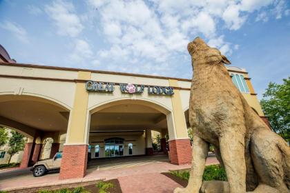 Great Wolf Lodge Chicago/Gurnee - image 14