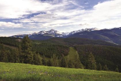 Four Seasons Resort Vail - image 13
