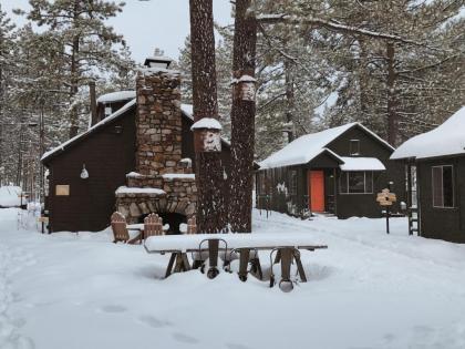 Noon Lodge - image 3
