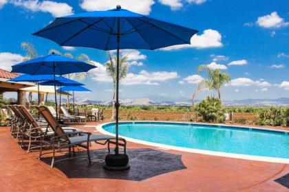 Carter Estate Winery and Resort - image 12