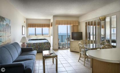 Palace Resort - image 11