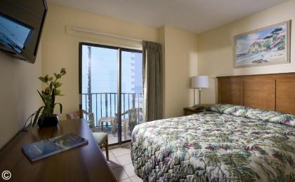 Palace Resort - image 8
