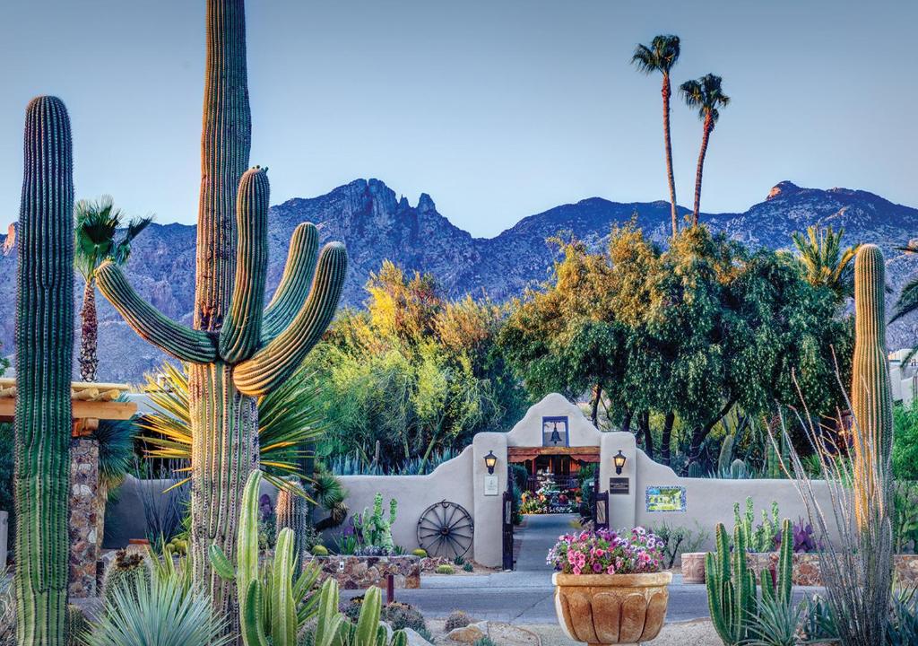 Hacienda del Sol Guest Ranch Resort - main image