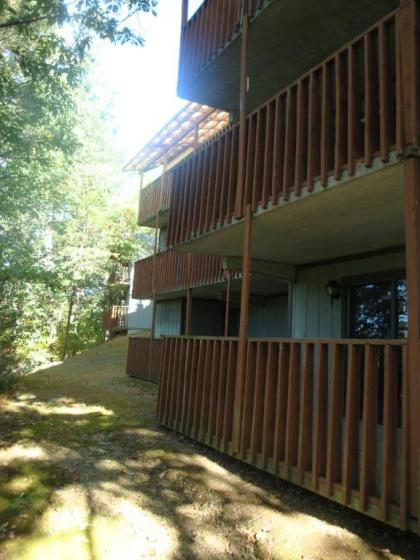 Senedo Springs - image 7