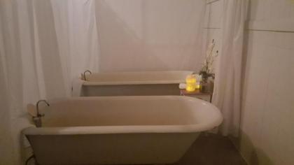 Carson Hot Springs Resort & Spa - image 7