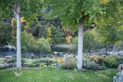 Strawhouse Resorts - image 20