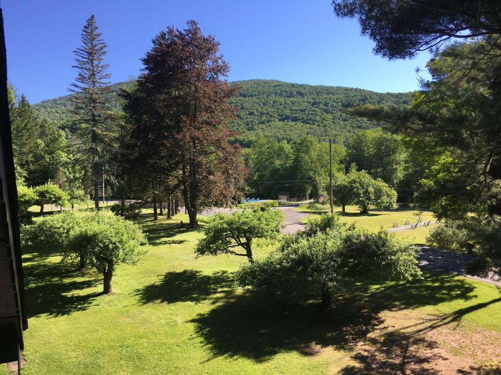 Slide Mountain Forest House - main image