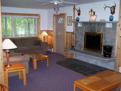 Slide Mountain Forest House - image 10