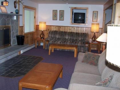 Slide Mountain Forest House - image 12