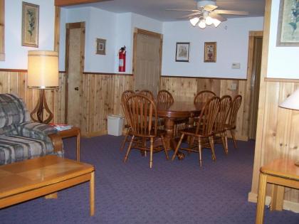 Slide Mountain Forest House - image 13