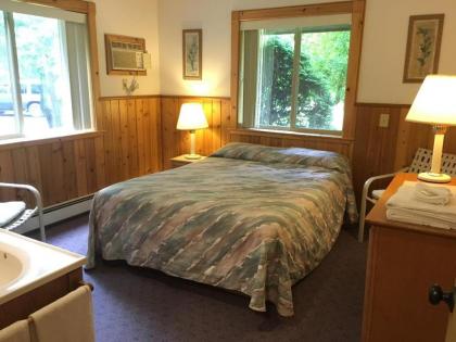 Slide Mountain Forest House - image 15