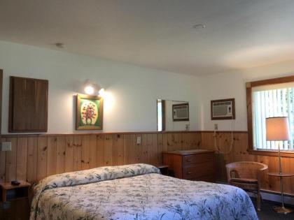 Slide Mountain Forest House - image 18