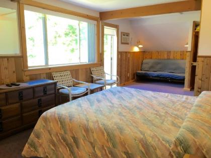 Slide Mountain Forest House - image 20