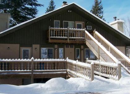 Slide Mountain Forest House - image 5