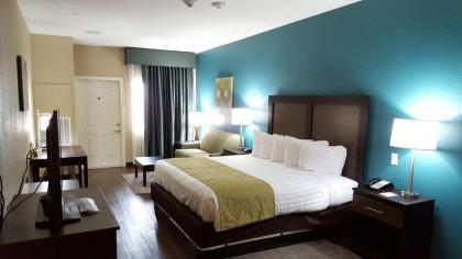Best Western Plus Galveston Suites - image 18