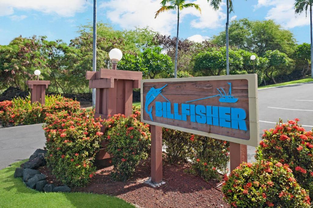 The Kona Billfisher - main image