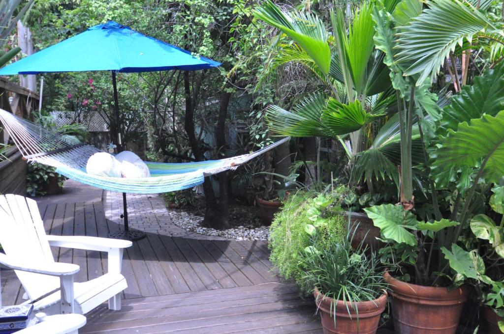 Pineapple Point Guesthouse & Resort - Gay Men's Resort - image 6