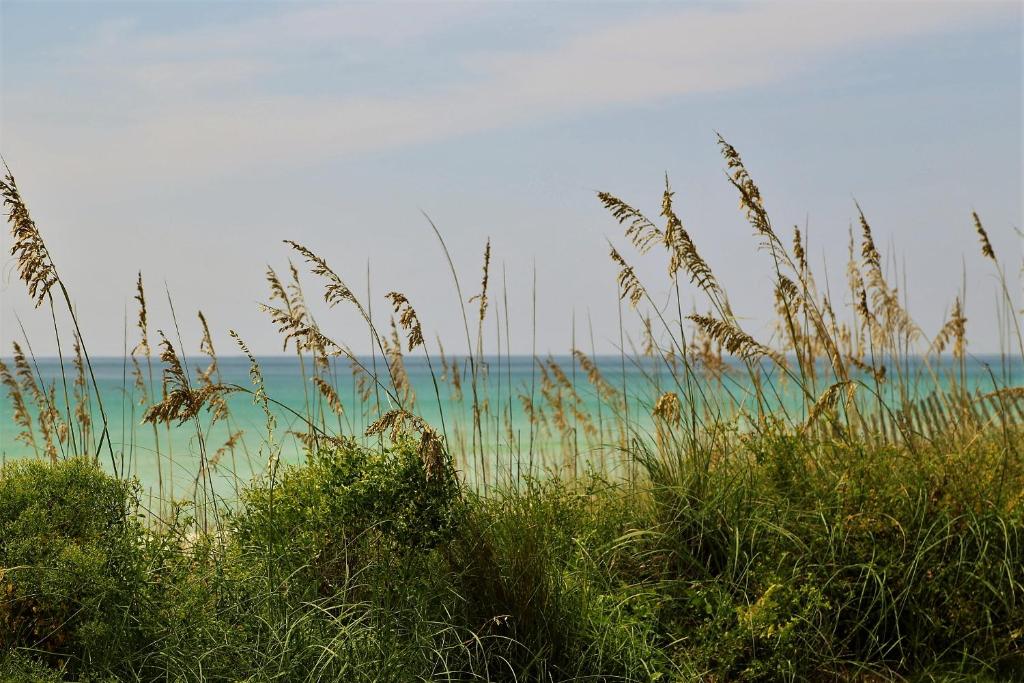 Henderson Beach Resort - image 2