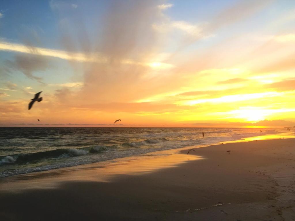 Henderson Beach Resort - image 5