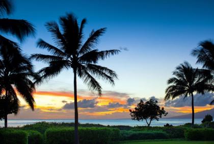 The Westin Nanea Ocean Villas Ka'anapali - image 9