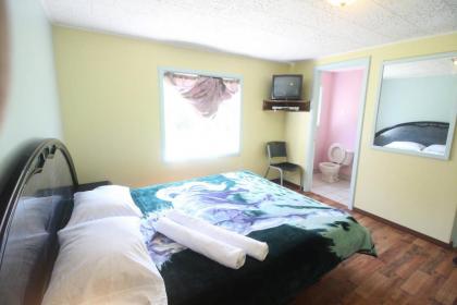 Hunter Mountain Resort - image 15