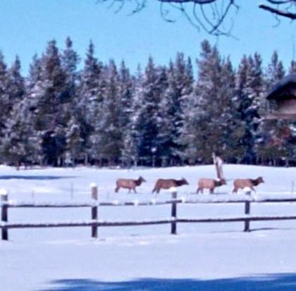 DiamondStone Guest Lodges - image 13