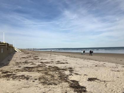 Norseman Resort on the Beach - image 4