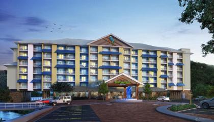 Margaritaville Resort Gatlinburg - image 4