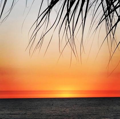 335 Surf Song Resort - image 17